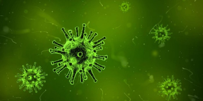 美科学家称找到所有病毒的致命“弱点” 或有助于研发超级疫苗