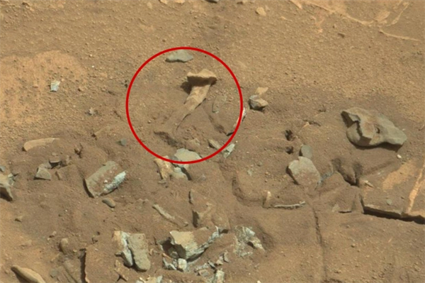 照片显示火星表明惊现人骨？NASA辟谣：只是块碎石