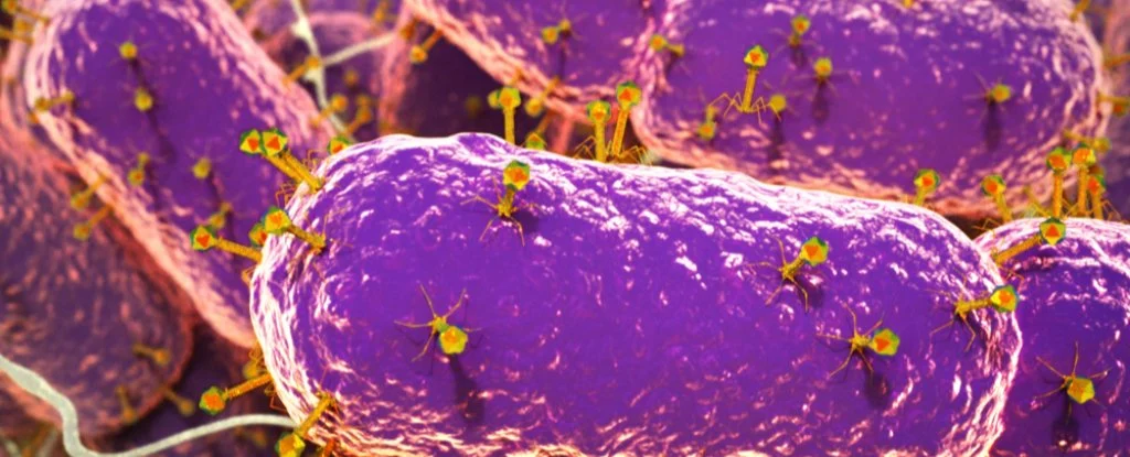 人体肠道发现7万多种新病毒，会对人体产生怎样影响？