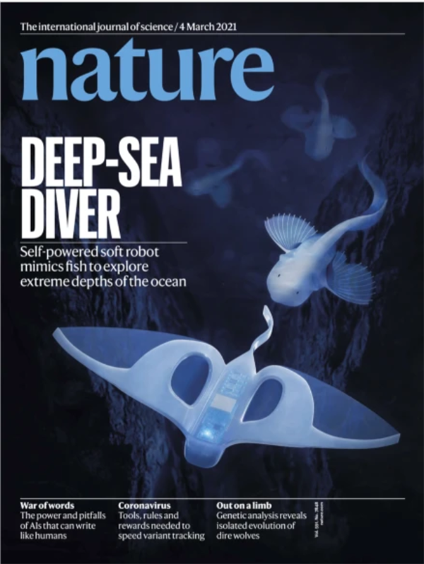 浙大软体机器鱼登《自然》杂志封面：遨游万米马里亚纳海沟