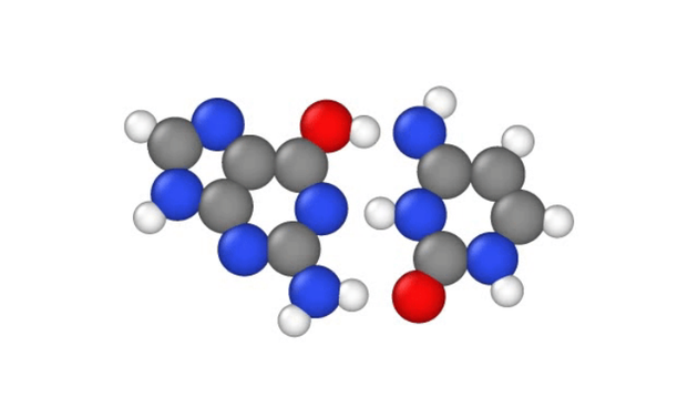 如图所示，白色的两个质子在核碱鸟嘌呤(左)和胞嘧啶(右)之间跳跃，它们在DNA链内形成碱基对。