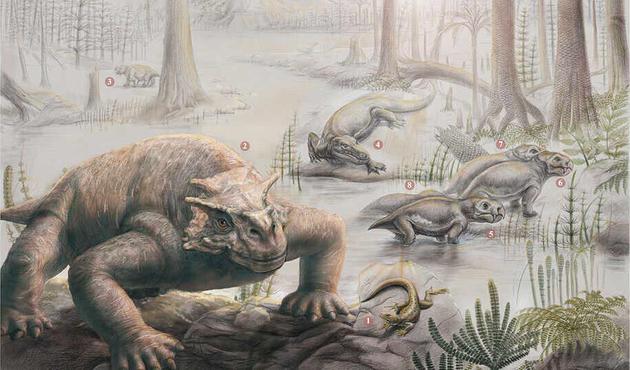 二叠纪末期，副颈龙已经长得体型庞大，而且有了自我保护的盔甲，其他草食动物包括被恐龙类捕食的双齿兽。这个复杂的生态系统在二叠纪末期大灭绝事件中崩溃了，只有少数双齿兽幸存下来