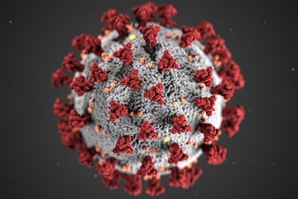 新研究称新冠病毒或一周突变一次：可能让病毒存活率降低
