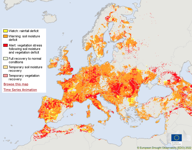 科学家警告：欧洲或遭遇500年来最严重干旱