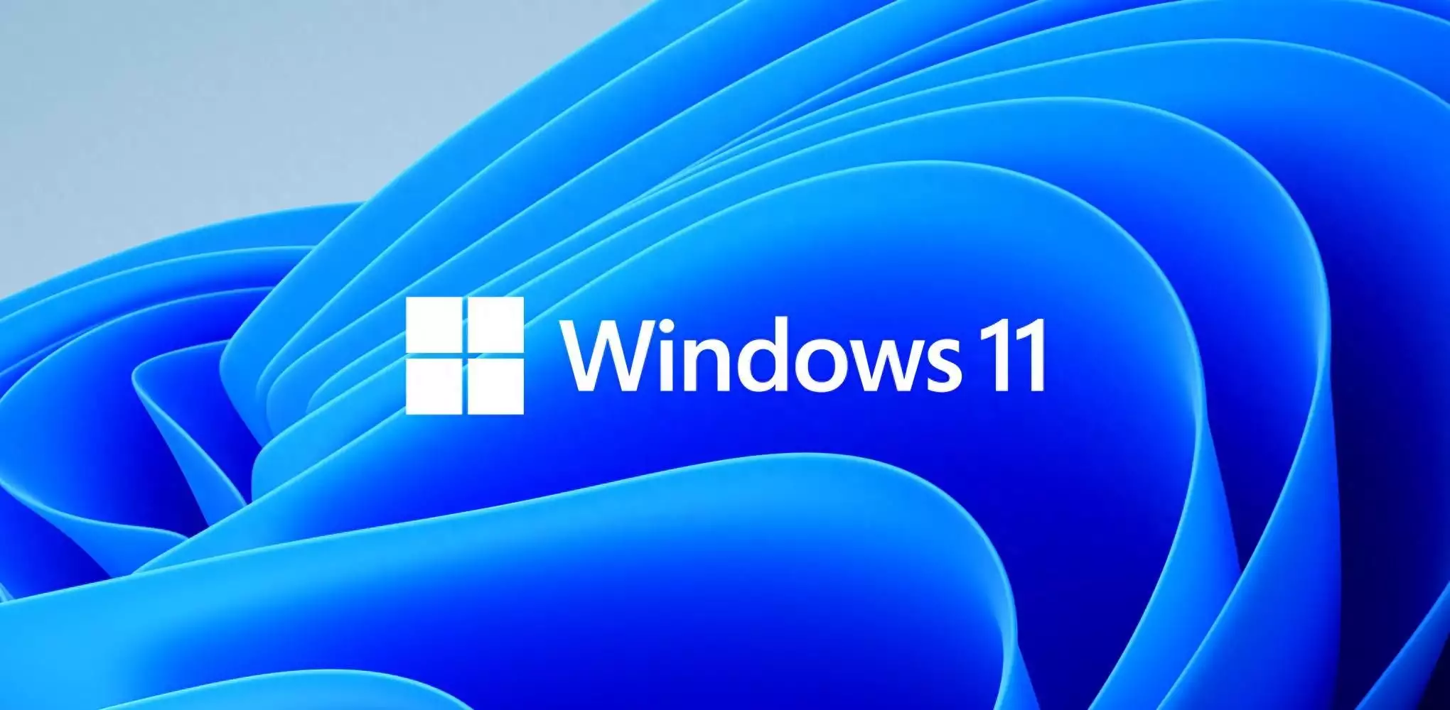终于更新了！Windows 11将支持这个新协议广东一爸爸怂恿女儿打妈妈，刚出手就被爸爸出卖：说好的保护我呢