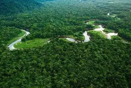 最大热带雨林气候区在什么地方？有着什么样的影响？