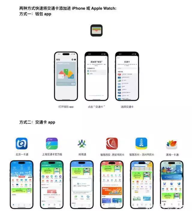 iphone支持交通卡（个性化交通卡来了！北京等六地iPhone用户可换新《与凤行》：硬塞的关系户演员，演技让人难受，一人毁掉了整部剧）
