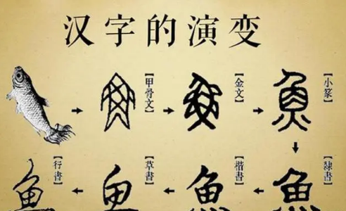 现在使用的汉字是如何演变而来的？大致分为四个阶段（居然可以这样）