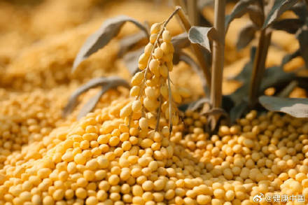 素食者如何利用大豆制品补充营养？ 