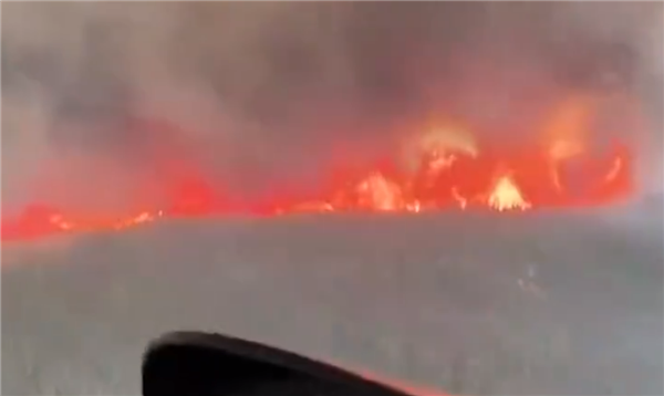过火面积相当于欧洲一个国家：美国阿拉斯加大火已烧了三周