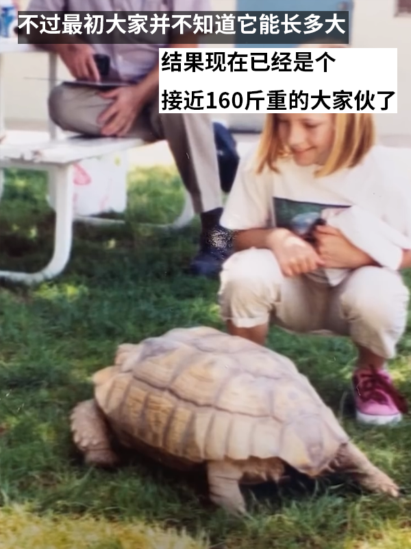 小姐姐养了20多年的龟龟成了大网红！网友：感觉它能送走几代人