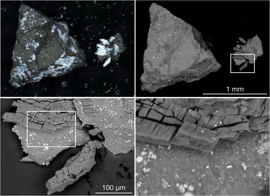 “贝努”小行星新发现：含生命所需关键成分、源于古老海洋世界 