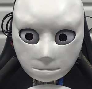 日本让机器人学开车：车速估计飙不过轮椅