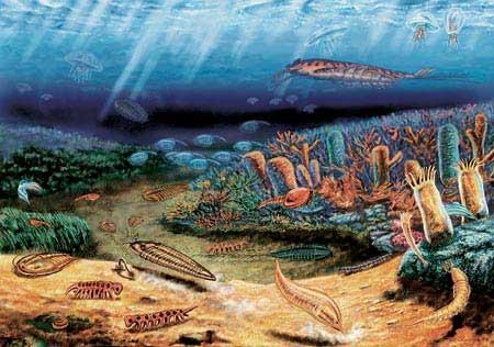 5.6-5.2亿年前寒武纪生命大爆发：我国科学家有重大发现