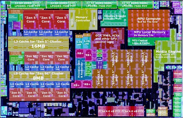 AMD Zen5锐龙AI 300被完全扒开！12个同构“大小核”
