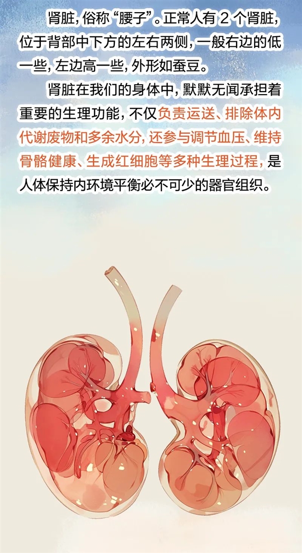 透支的肾是补不回来的!5个伤肾行为很多人都在做