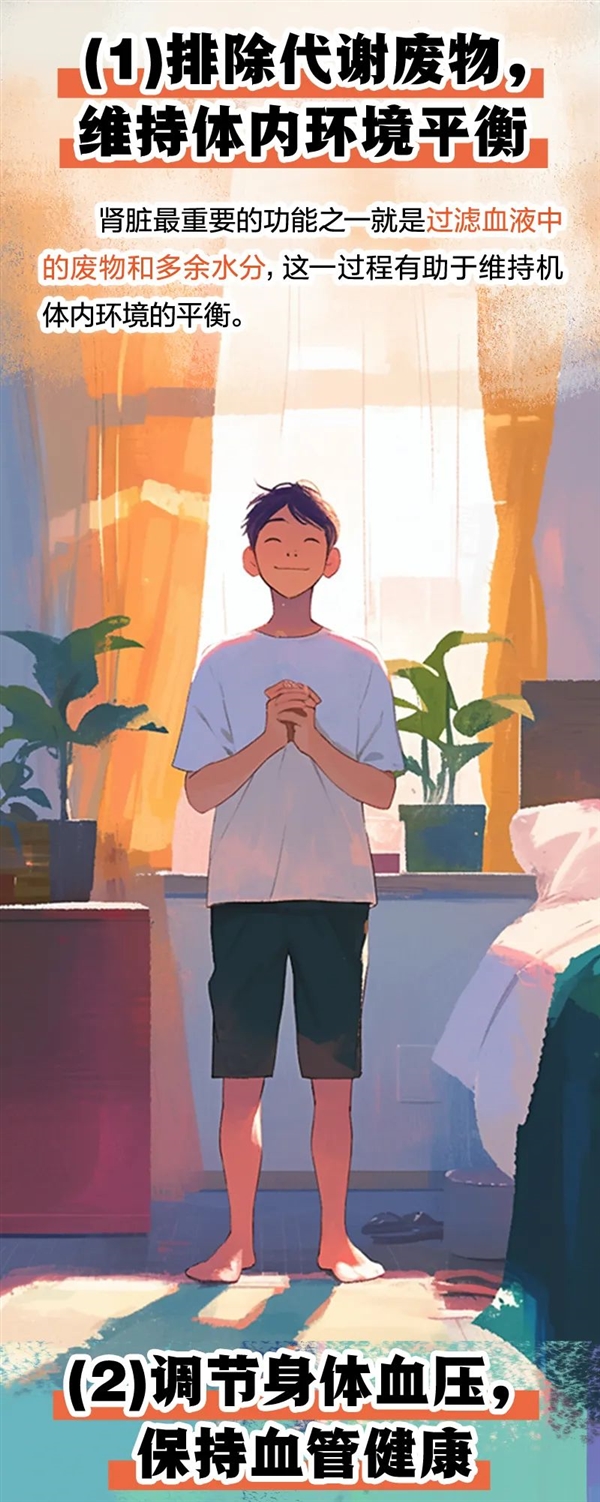 透支的肾是补不回来的!5个伤肾行为很多人都在做