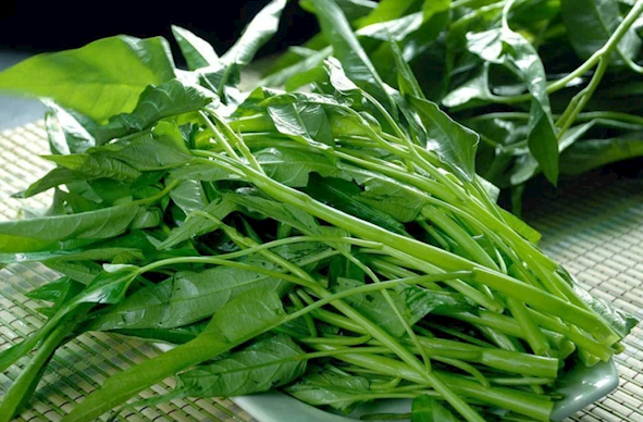 空心菜又名抽筋菜 因为吃了它会抽筋吗