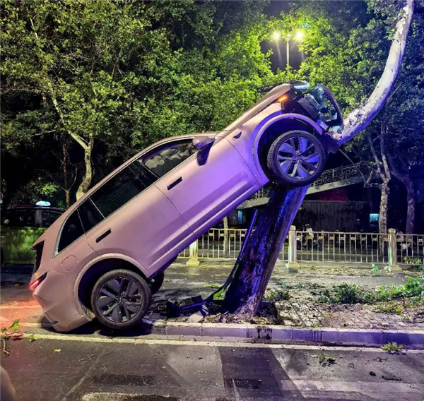 女子将新能源汽车开上树 官方回应：系操作不当