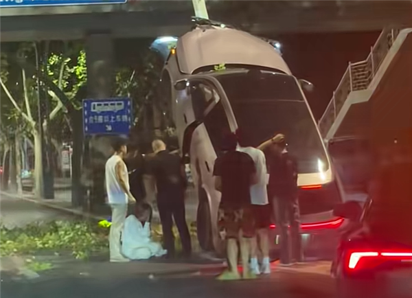 女子将新能源汽车开上树 官方回应：系操作不当