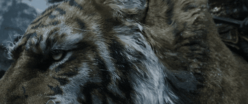 《黑神话：悟空》DLC没了 但《黑神话：钟馗》来了！