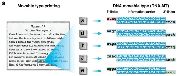 给DNA装“活字” 我国自主研发“毕昇一号”实现存储技术跨越