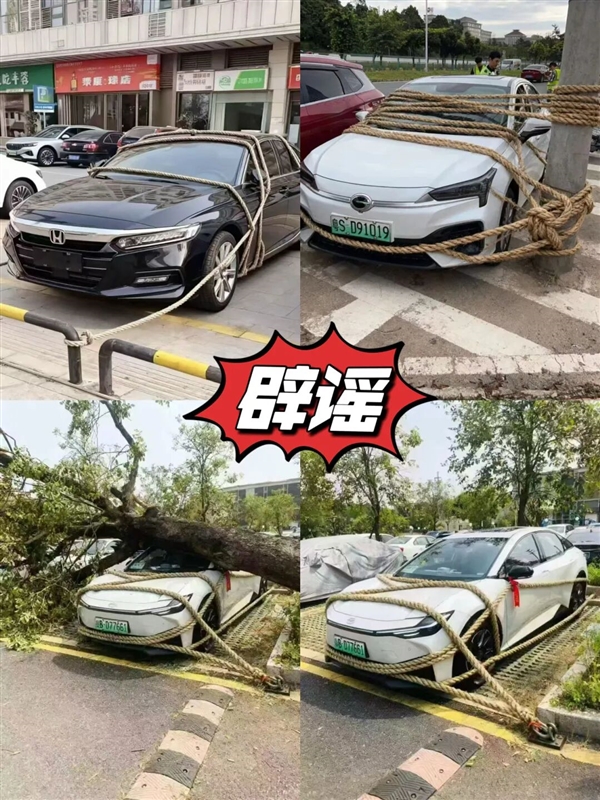 台风“桦加沙”来袭!官方辟谣:广东汽车被五花大绑是AI合成