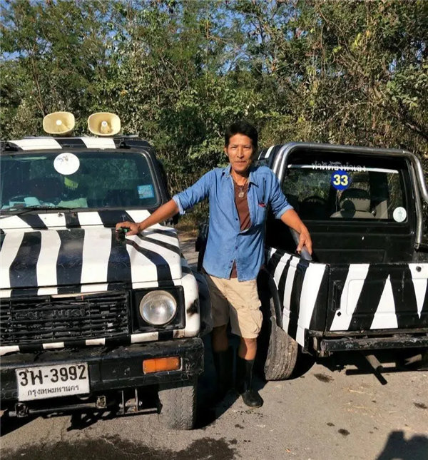 随意下车还背对着狮子 泰国一饲养员被狮群袭击致死：游客目睹