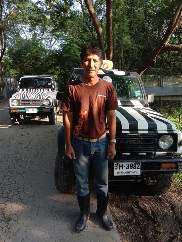 随意下车还背对着狮子 泰国一饲养员被狮群袭击致死：游客目睹