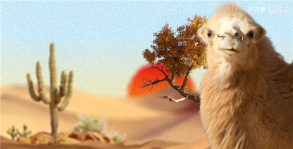 中国治沙47年 竟然不是为了消灭沙漠