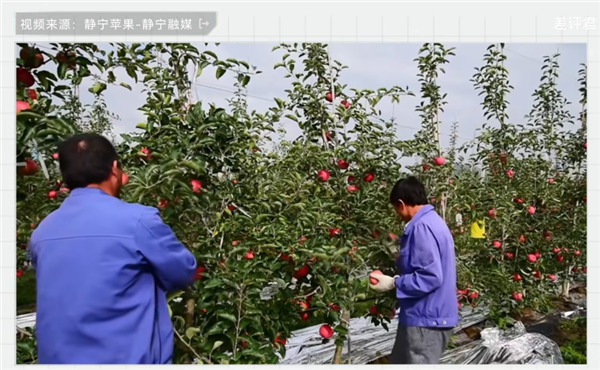 中国治沙47年 竟然不是为了消灭沙漠