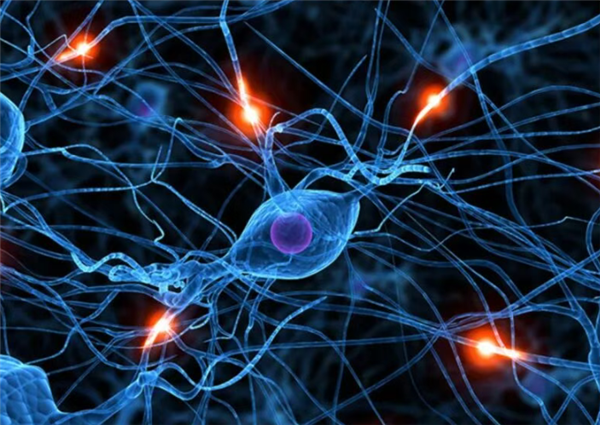 没伤口却疼得像针扎 揭秘皮肤突发刺痛的常见诱因