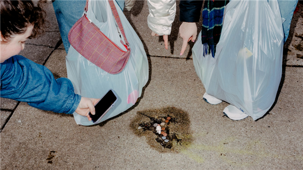 水泥地惊现“老鼠坑” 美国这条路火了！新研究带来反转：坑是松鼠砸的