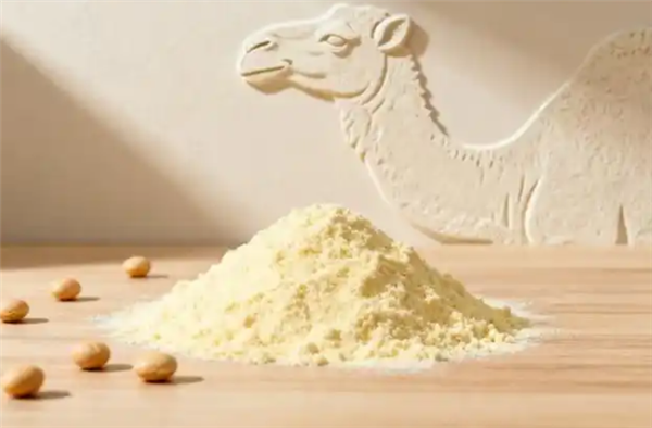 比牛奶营养价值高十倍！驼奶那么神吗 还是智商税