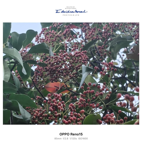 时尚、璀璨、闪耀！OPPO Reno 15评测：6.3英寸掌中影像旗舰！