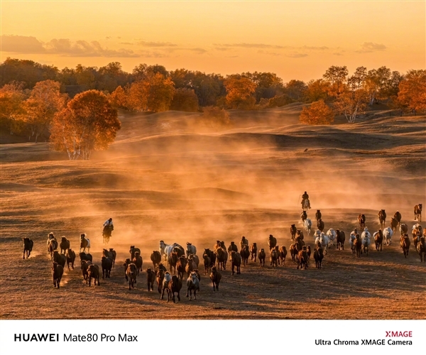 六大绝技升级巨大!华为Mate 80系列首发第二代红枫影像:实拍视频公布