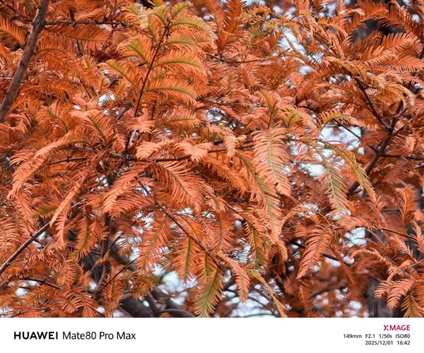 用了几天华为Mate80 Pro Max 我感觉它堆料有点过猛了