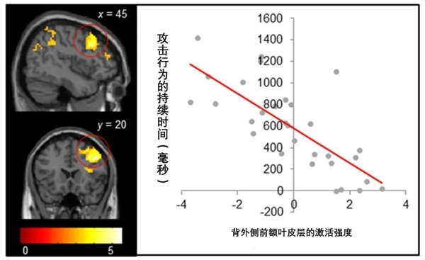 “网络引战”是一门生意 千万别被带节奏
