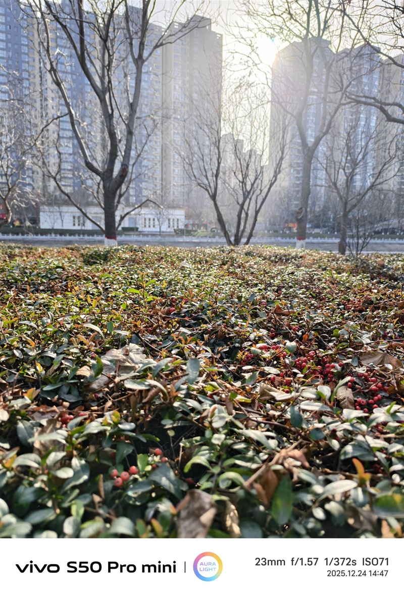 稳步迭代,全面超越:vivo S50 Pro mini 评测:小直屏旗舰的进化标杆