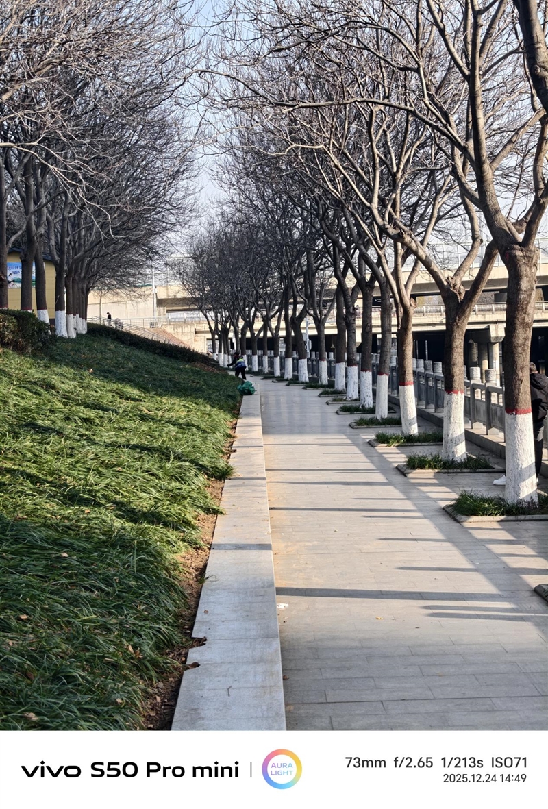 稳步迭代,全面超越:vivo S50 Pro mini 评测:小直屏旗舰的进化标杆