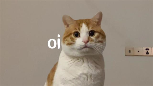 终于有实锤了：缺少实体按键的车就是更危险