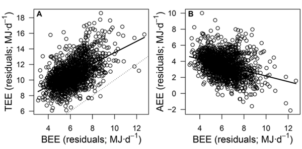 一个悲伤的消息:胖子运动只能变成一个健壮的胖子