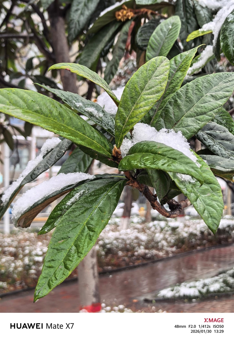 左手 AI右手大屏！华为Mate X7典藏版体验评测：鸿蒙OS 6.0加持 不仅是折叠更是掌上工作站