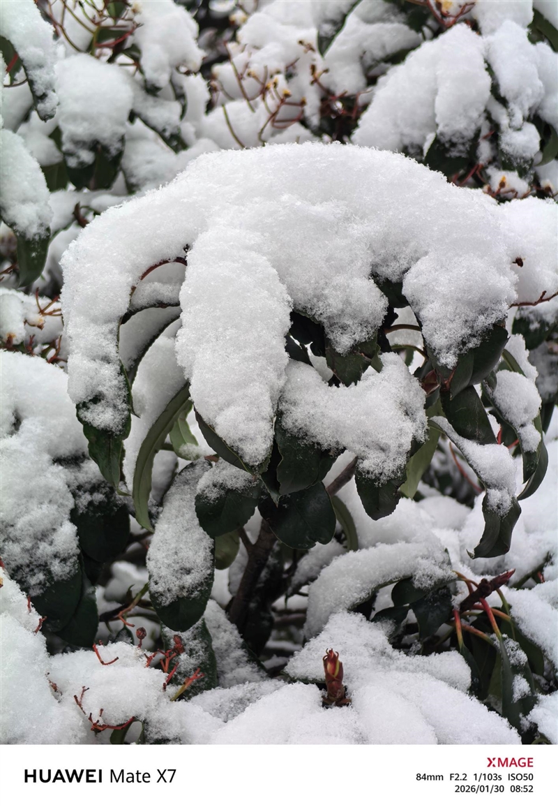 左手 AI右手大屏！华为Mate X7典藏版体验评测：鸿蒙OS 6.0加持 不仅是折叠更是掌上工作站