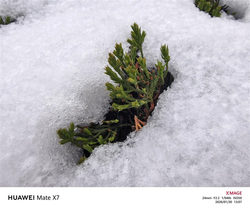 左手 AI右手大屏！华为Mate X7典藏版体验评测：鸿蒙OS 6.0加持 不仅是折叠更是掌上工作站