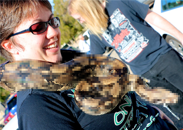 如果要在蟒蛇和黑猩猩之间选一个作为宠物 哪个会更适合?