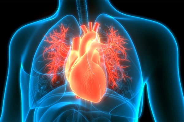 心源性猝死如何急救：记牢这四步