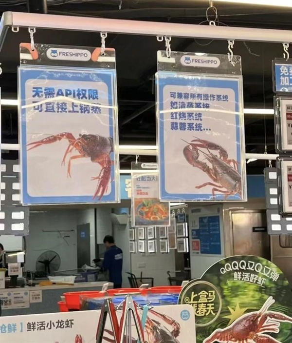 不想再当螺丝钉的打工人 开始琢磨一个人开公司了