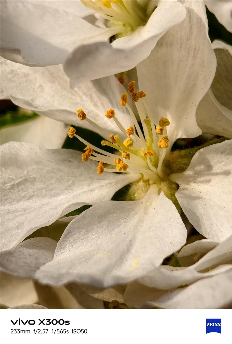 天玑9500搭配蔡司影像 vivo X300s手机全面评测:省心耐用的直屏主力机