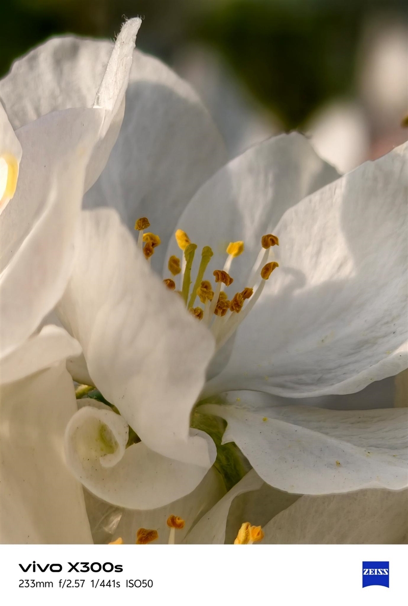 天玑9500搭配蔡司影像 vivo X300s手机全面评测:省心耐用的直屏主力机